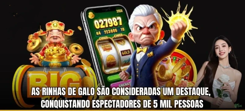 Experiência VIP 85x